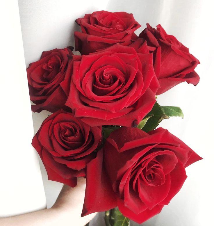 Corporate meeting room with meticulously timed floral arrangements maintaining elegance through business hours